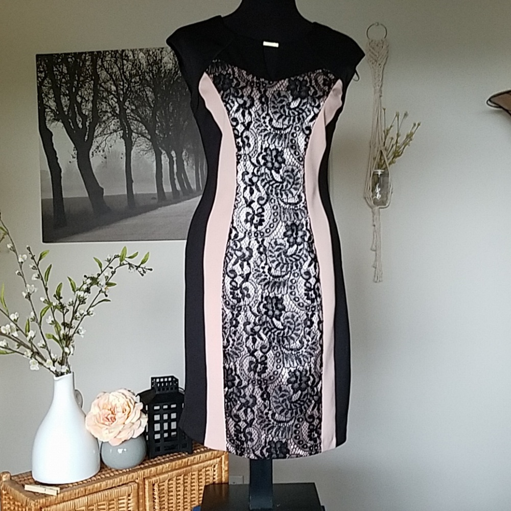 Lace sculpting black and pink dress
